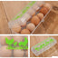 Egg Carton - Plastic