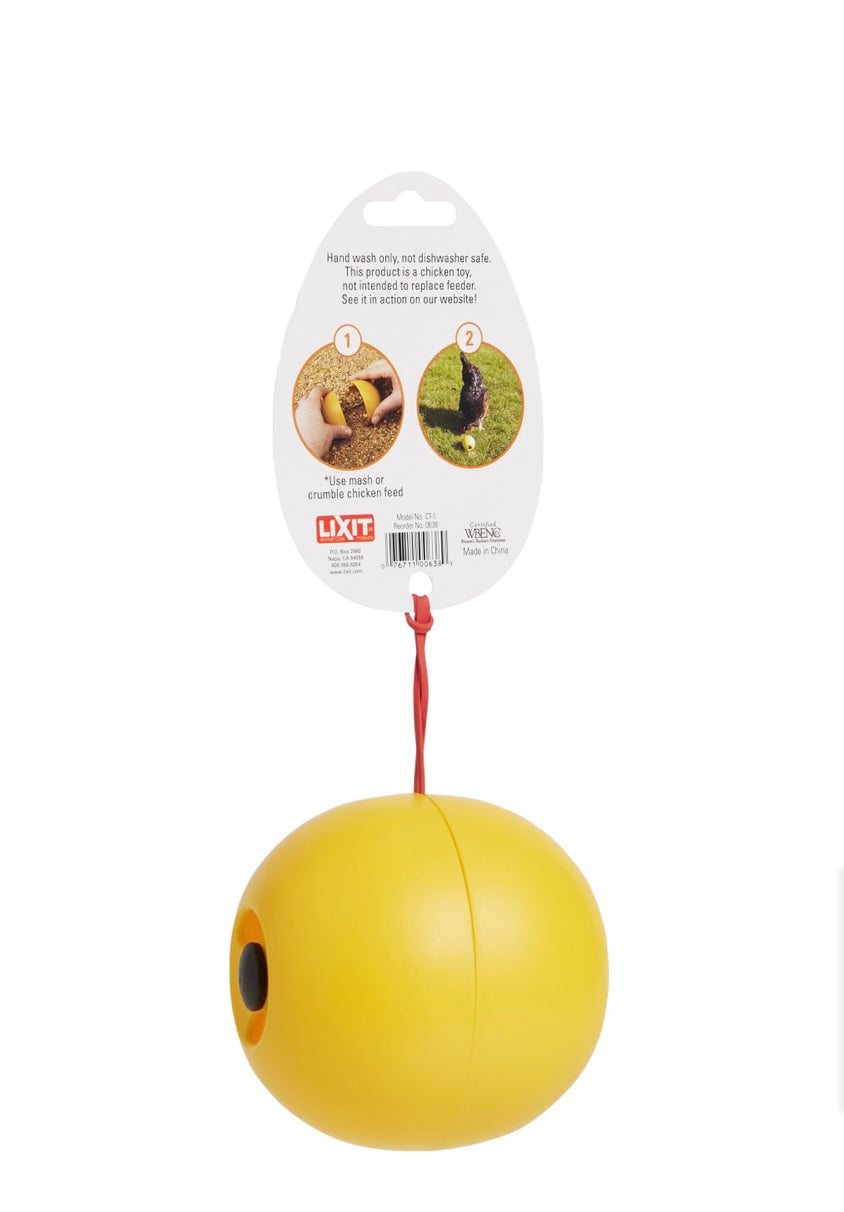 Chicken Fun Toy