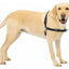 PETSAFE 3 IN 1 HARNESS (no leash included)