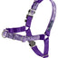 PETSAFE BLING EASY WALK HARNESS (limited selection)