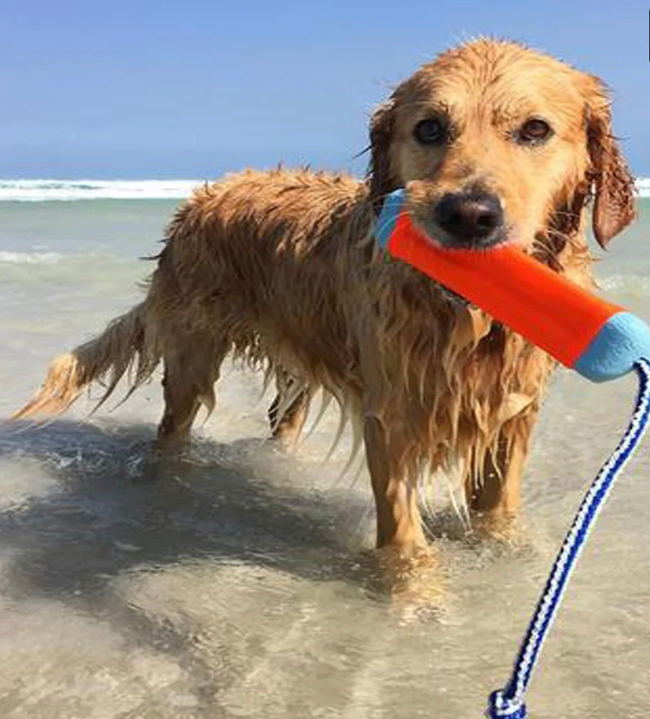 ChuckIt Amphibious Bumper