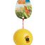 Chicken Fun Toy