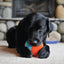 Chuckit Indoor Shaker 00137