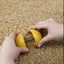 Chicken Fun Toy