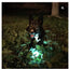 Chuckit Max Glow Ball