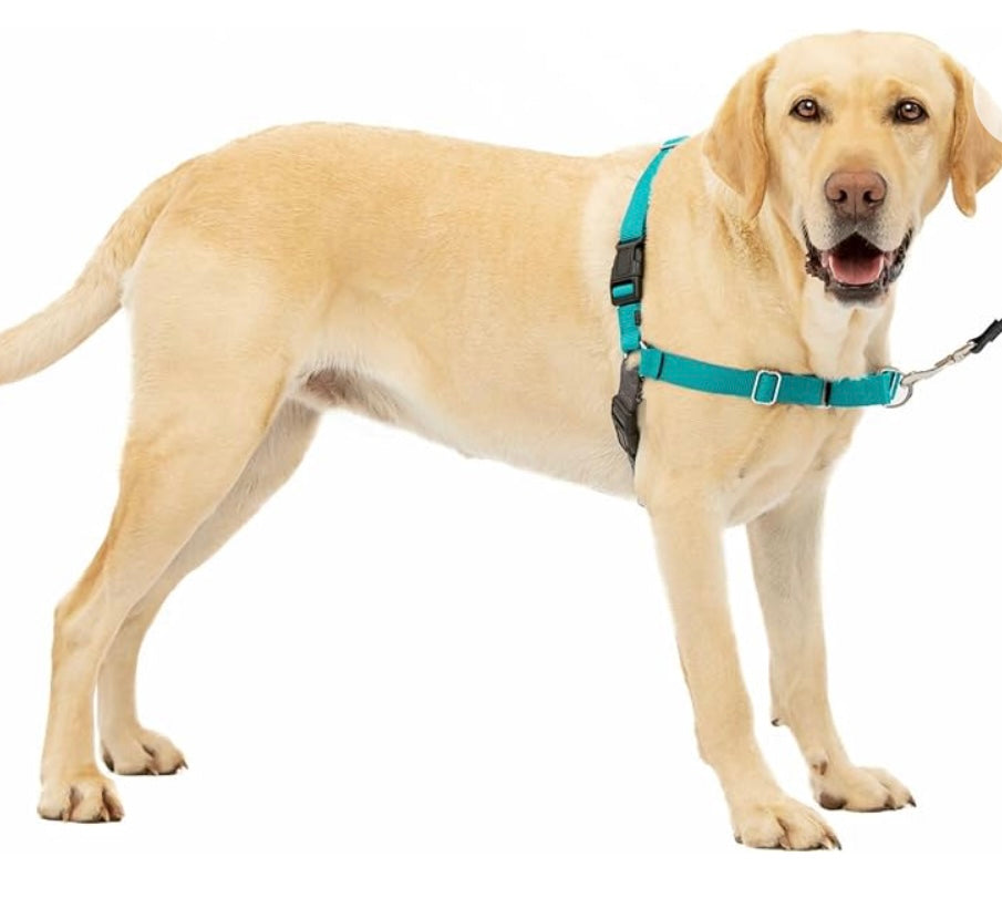 PETSAFE 3 IN 1 HARNESS (no leash included)