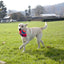 Chuckit Fumble Fetch - Small