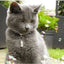 KITTY INCREDIBUBBLES CATNIP