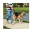 EASY WALK HARNESS (with leash)
