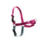 EASY WALK NO- PULL HARNESS (no leash)