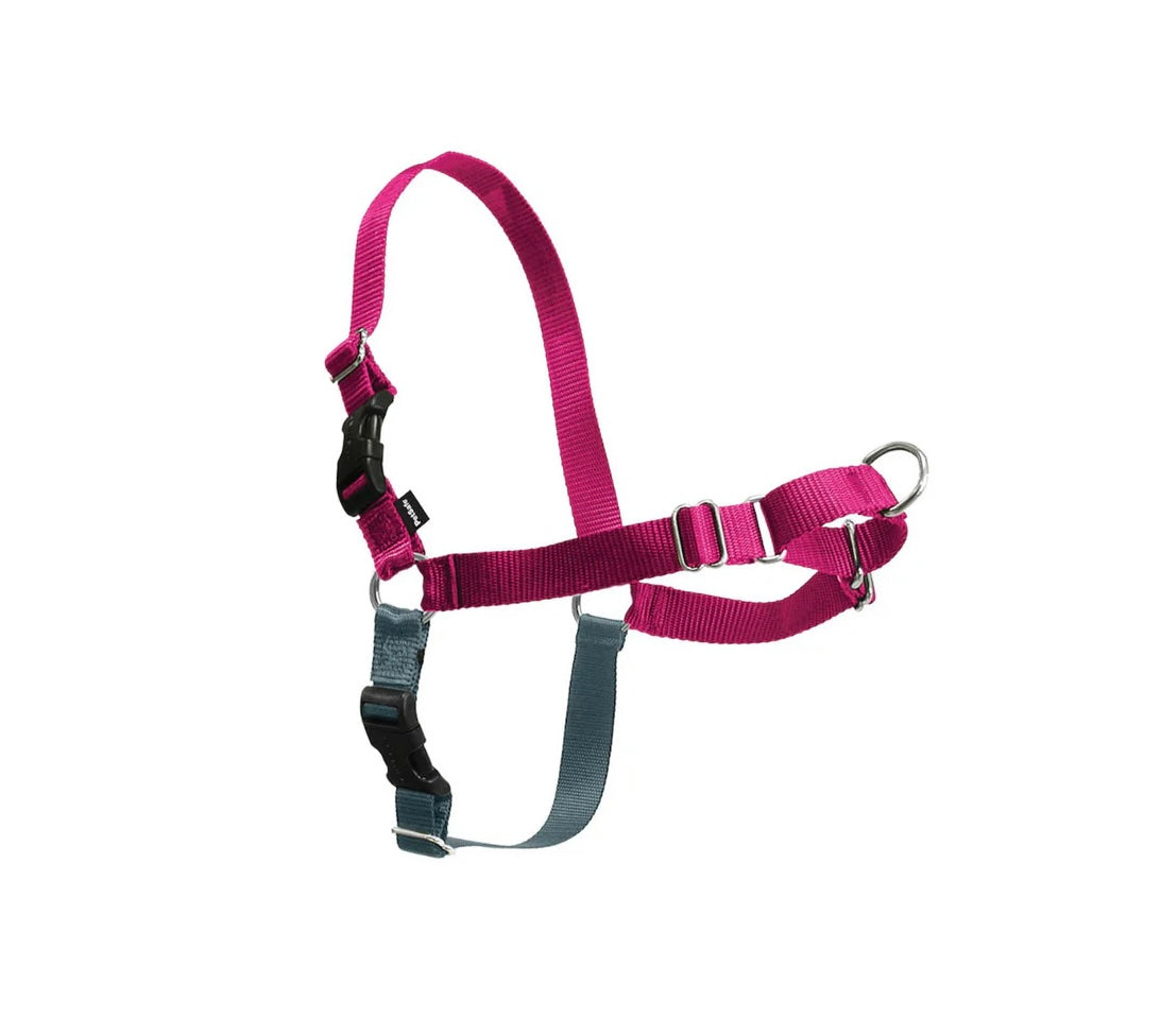 EASY WALK NO- PULL HARNESS (no leash)