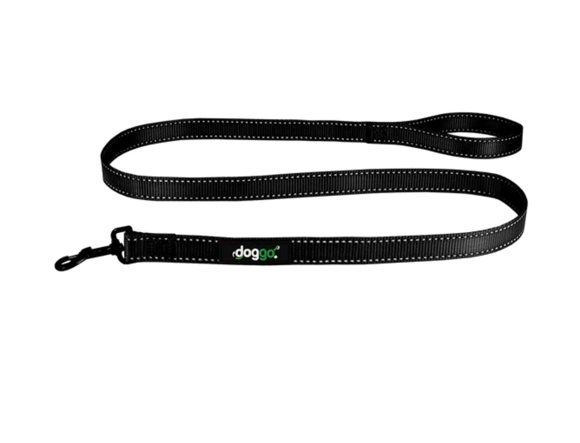 EVERYDAY NYLON LEASH