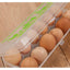 Egg Carton - Plastic
