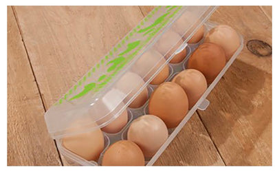 Egg Carton - Plastic