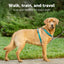 PETSAFE 3 IN 1 HARNESS (no leash included)