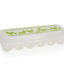 Egg Carton - Plastic