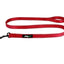 EVERYDAY NYLON LEASH