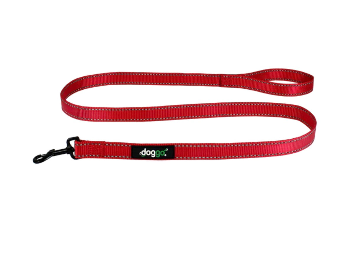 EVERYDAY NYLON LEASH