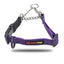 SMELLY DOGZ 1” and 3/4” MARTINGALE COLLAR