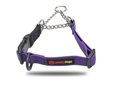 SMELLY DOGZ 1” and 3/4” MARTINGALE COLLAR