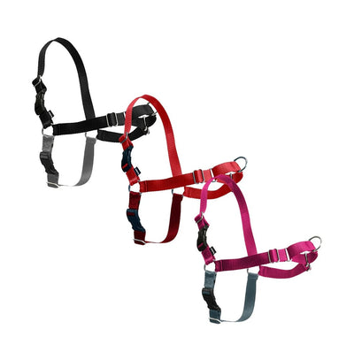 EASY WALK NO- PULL HARNESS (no leash)