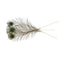 VEE NATURAL PEACOCK FEATHERS