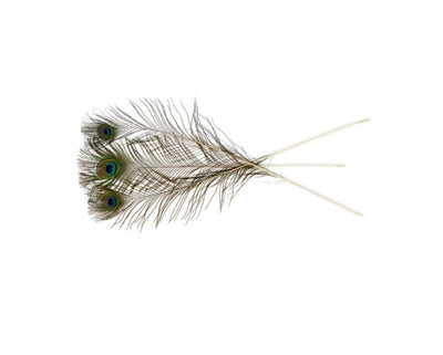 VEE NATURAL PEACOCK FEATHERS