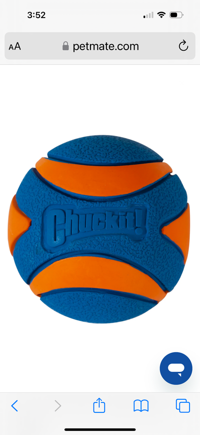 ChuckIt Ultra Squeaker Ball 2PK