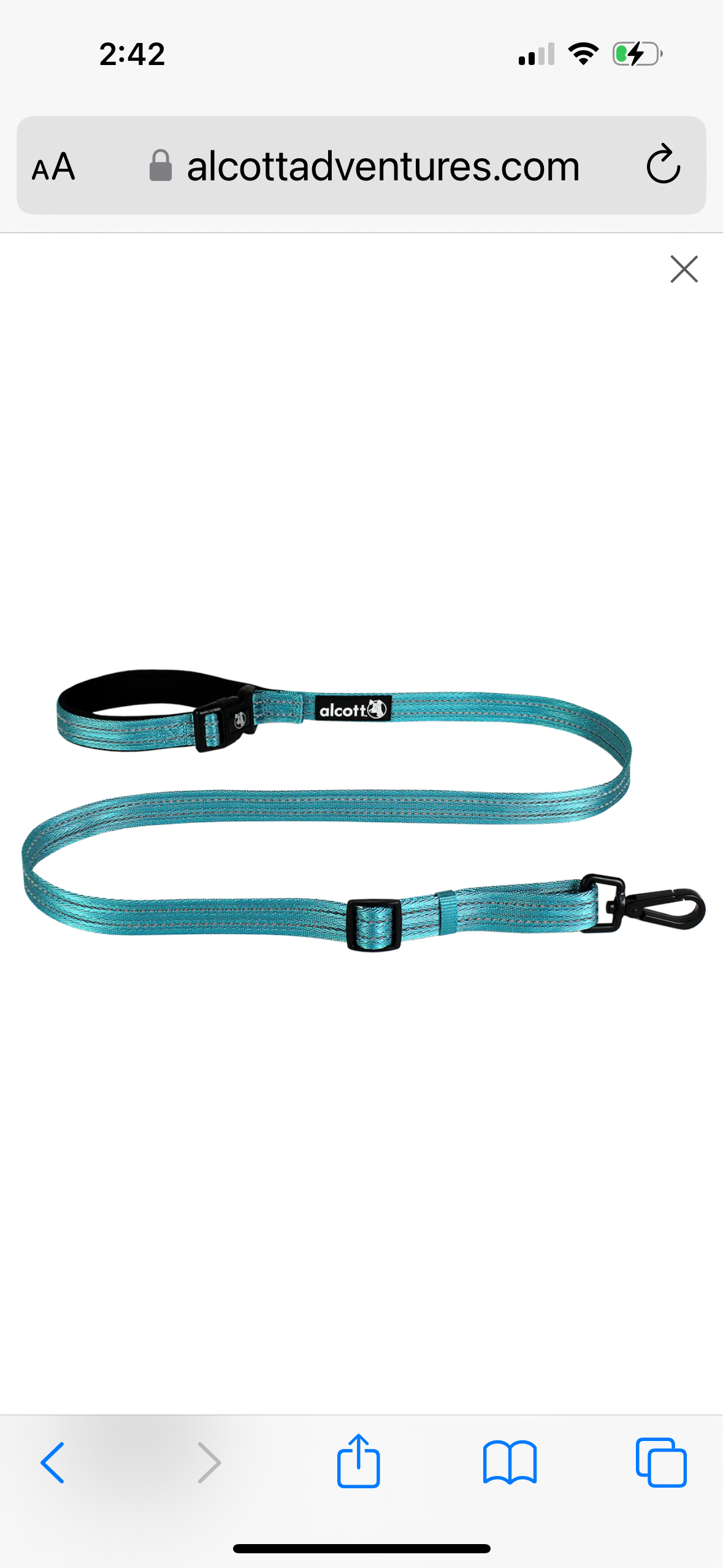 WEEKENDER ADVENTURE LEASH - ONE SIZE