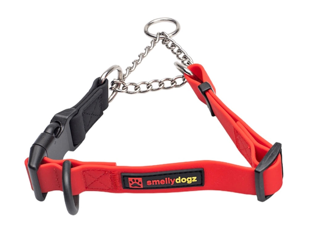 SMELLY DOGZ 1” and 3/4” MARTINGALE COLLAR