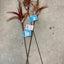GO CAT 18-INCH WILD THING WAND (03-0134)