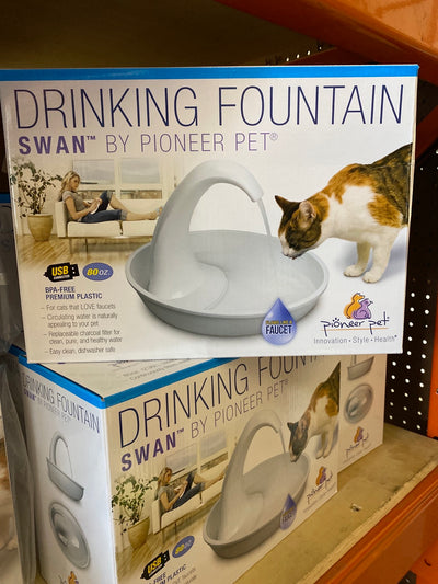 SWAN PLASTIC FOUNTAIN (80OZ)