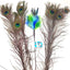 GO CAT 18-INCH PEACOCK SPARKLER WAND
