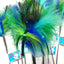 GO CAT 36-INCH LONG PEACOCK SPARKLER WAND