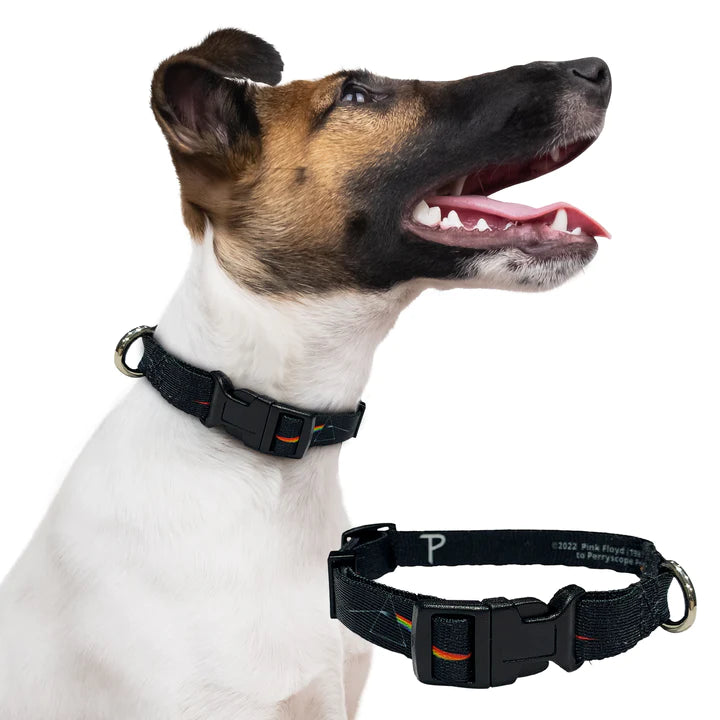 Pink Floyd Dog Collar