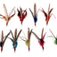 GO CAT DA BIRD SUPER REFILL
