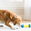 ROBO BONE - ELECTRONIC TREAT DISPENSER