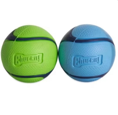 ChuckIt Sniff Fetch Balls Duo M