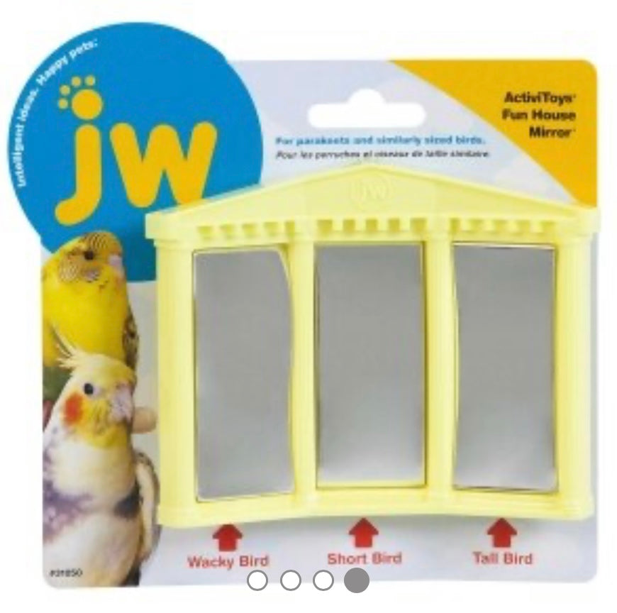 FUN HOUSE MIRROR