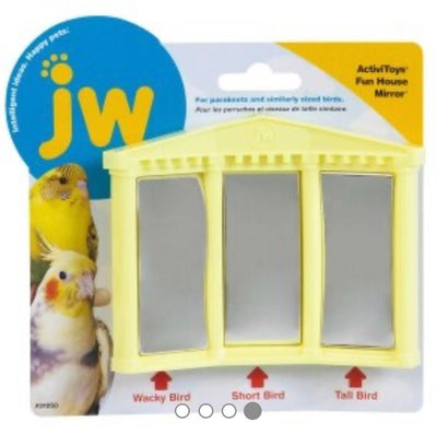 FUN HOUSE MIRROR