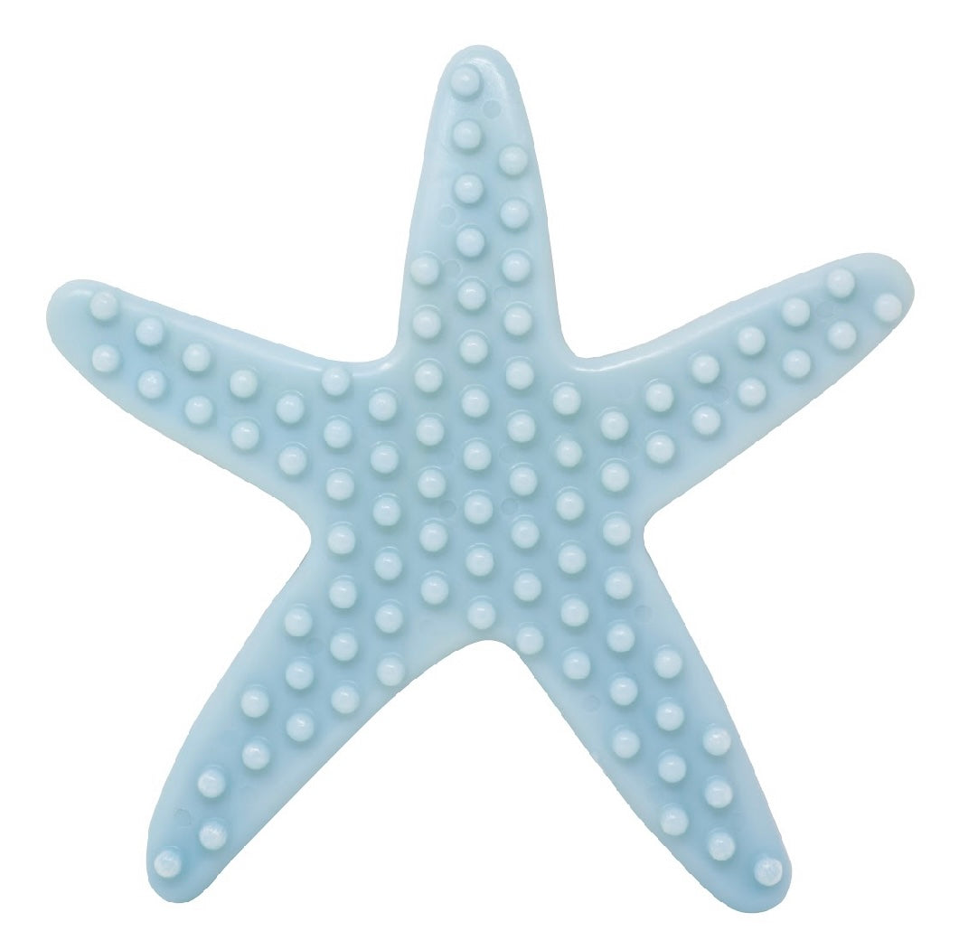 CLEAN EARTH STARFISH CHEW TOY