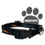 Pink Floyd Dog Collar
