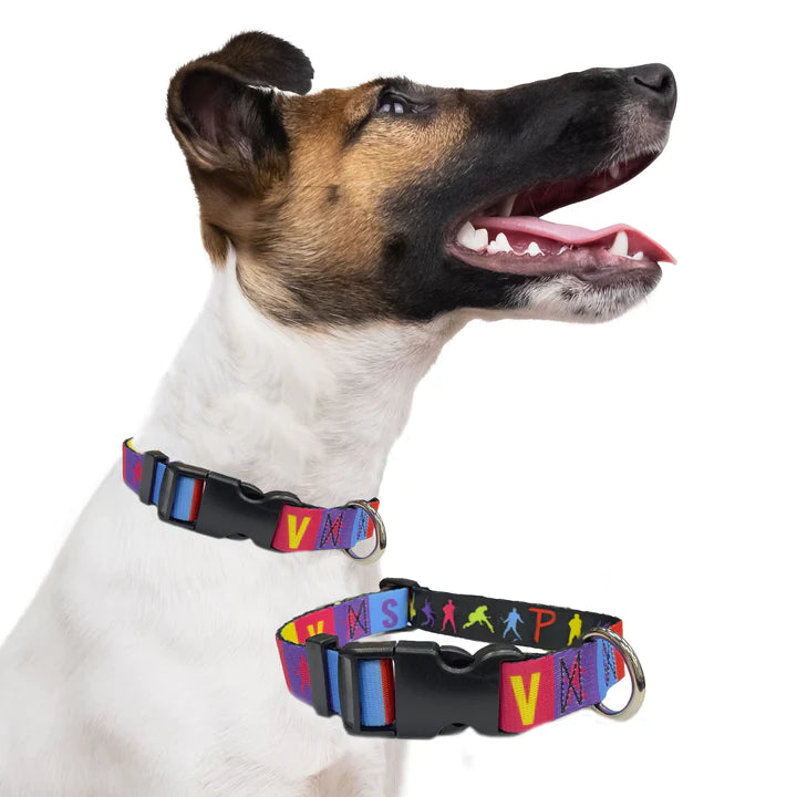 Elvis Presley Dog Collar