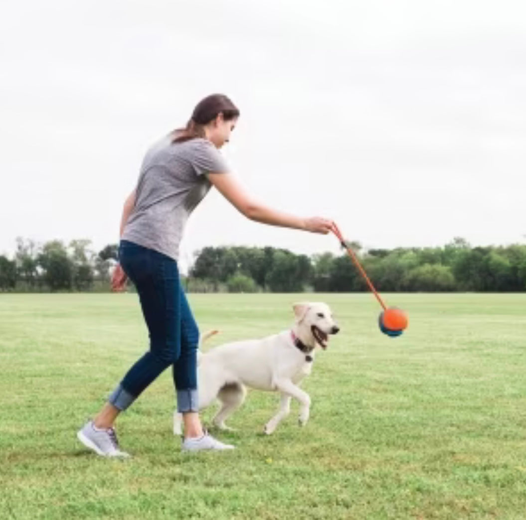 ChuckIt Rope Fetch