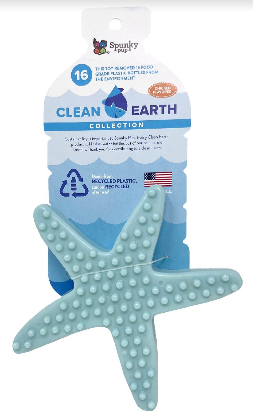 CLEAN EARTH STARFISH CHEW TOY