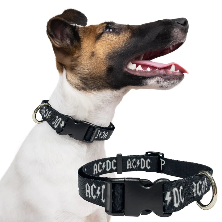 AC/DC Dog Collar